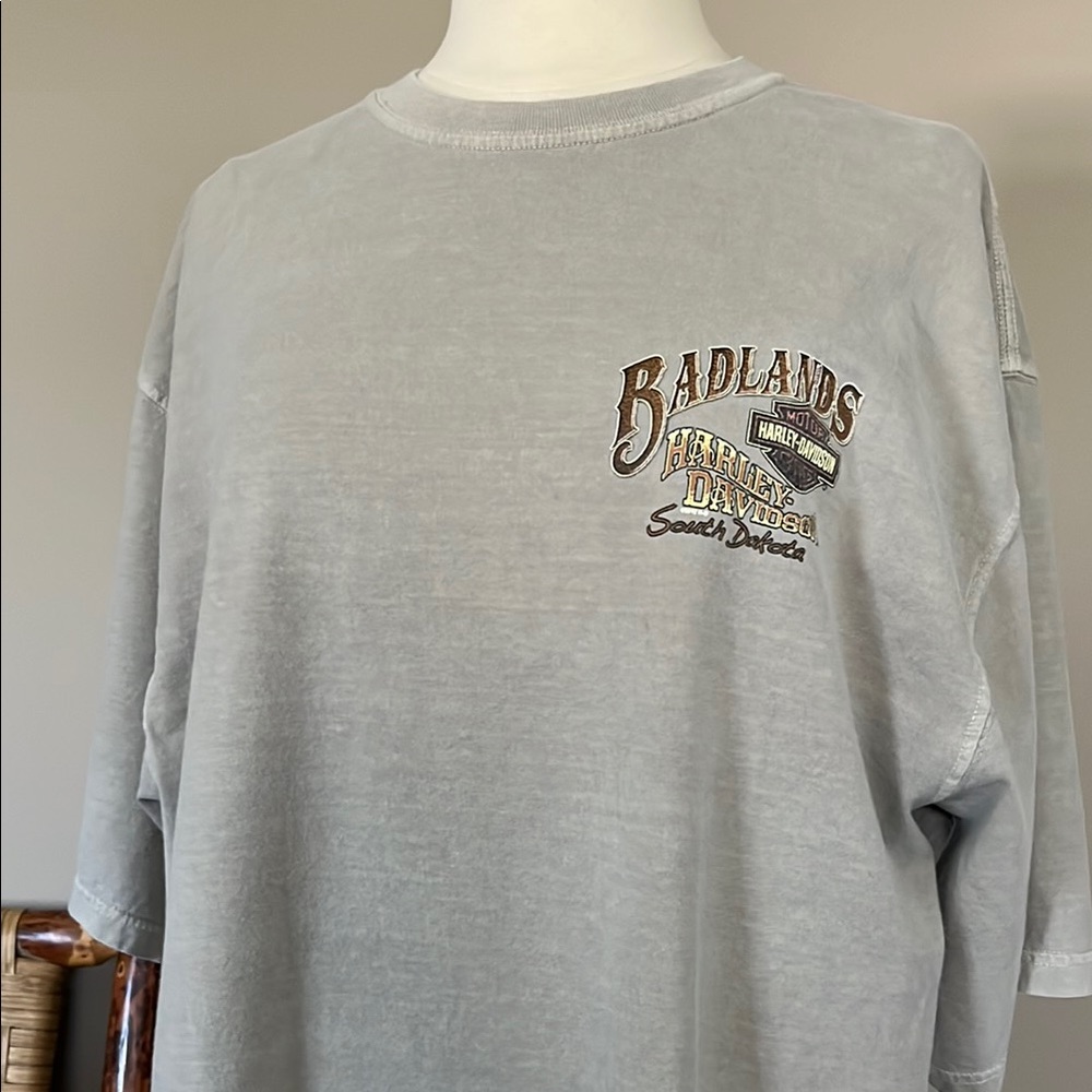 Harley-Davidson Gray T-Shirt